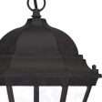 Three Light Matte Black Carousel Lantern Hanging Light Hot on Sale