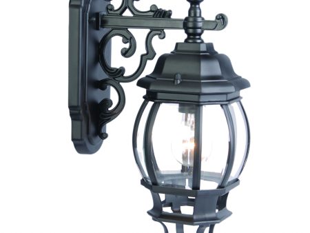 Matte Black Hanging Glass Globe Wall Light Cheap