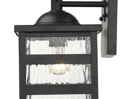 Glass panel Matte Black Outdoor Hanging Light Online Hot Sale