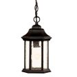 Antique Black Textured Glass Lantern Hanging Light For Cheap