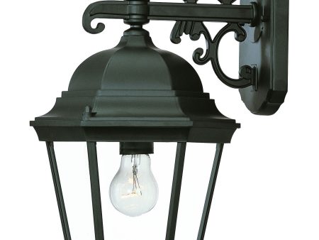 Matte Black Domed Glass Hanging Lantern Wall Light Online