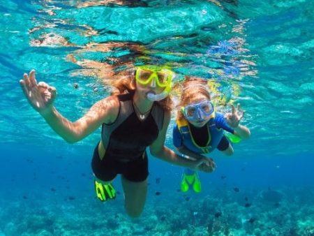 Discover Snorkelling Course Hot on Sale