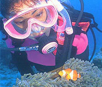 Discover Scuba Diving   Double Dive on Sale