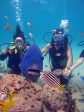 Discover Scuba Diving   Double Dive on Sale