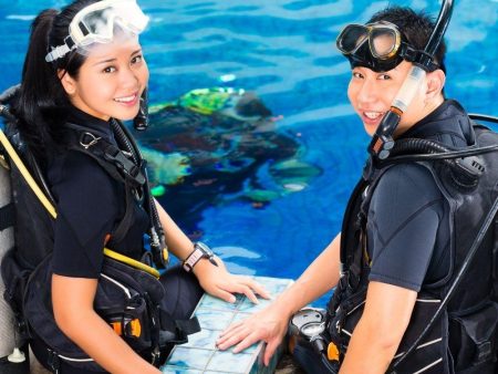 Discover Scuba Diving   Double Dive on Sale