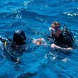 Rescue Diving Course For Sale